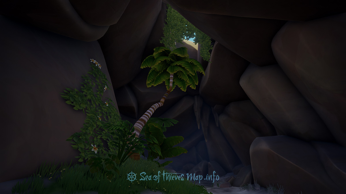 Sea Of Thieves Map - Seek the sun starved palm where there is no sky, it lies in wait for a light held high - Riddle Step