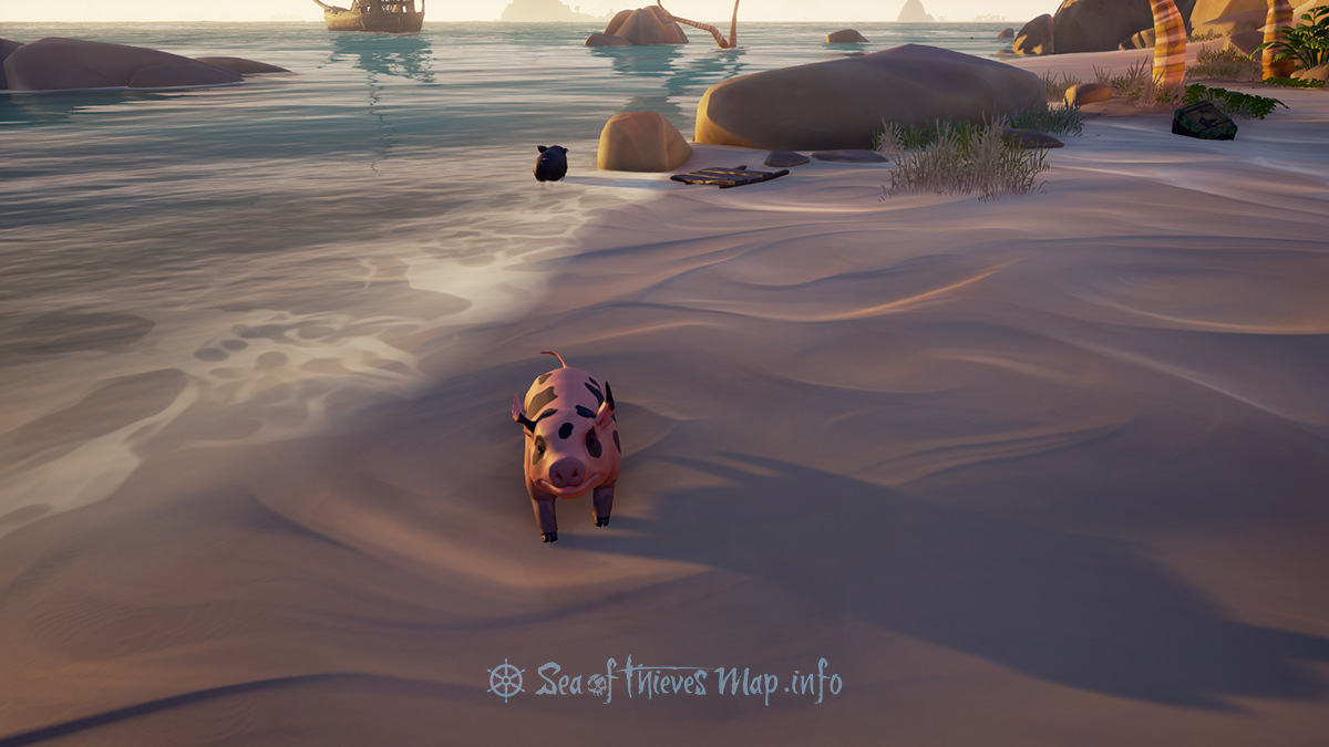 Sea Of Thieves Map - Paradise Spring - Pigs